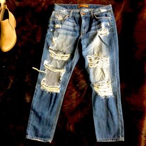 Joe’s Billie Crop, Collector’s Edition